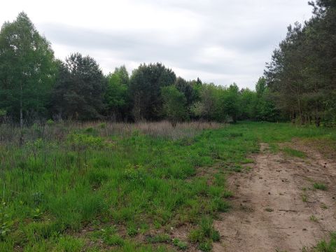 Sprzedaż Działka Czeszów, pow. trzebnicki