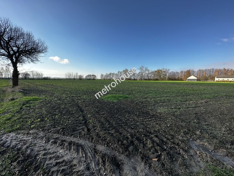 Działka na sprzedaż, Radzyński, Brzostówiec