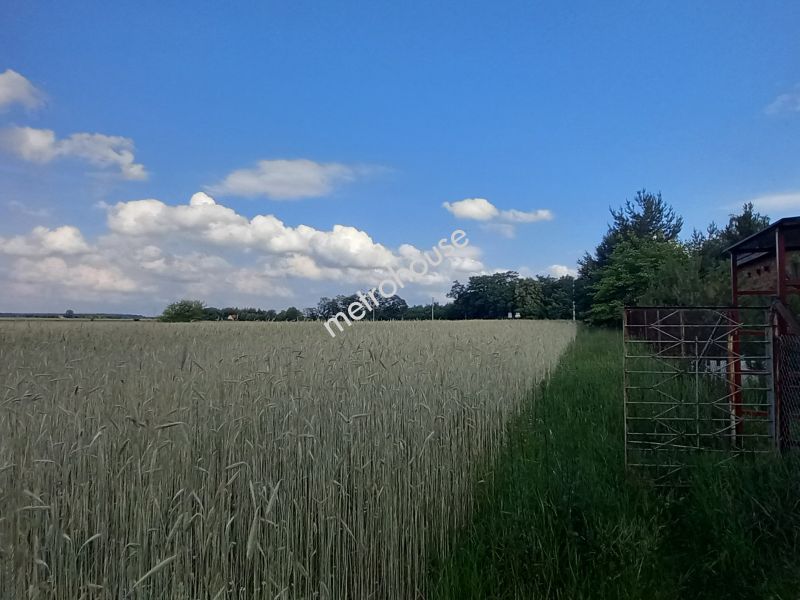 Działka na sprzedaż, Zduńskowolski, Lichawa, Lichawa-Parcela