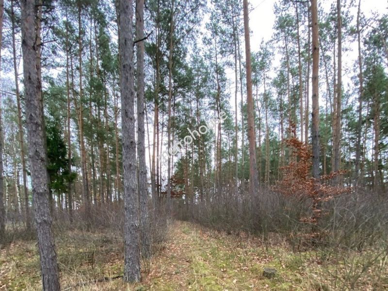 Działka na sprzedaż, Tucholski, Minikowo