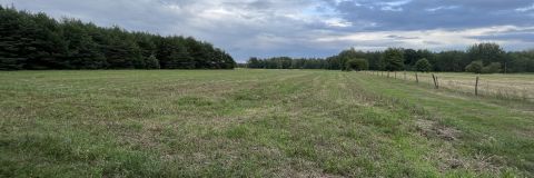 Sprzedaż Działka Zdziwój Stary, pow. przasnyski