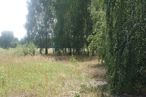 Sprzedaż Działka Dobra, Jakubów, pow. miński