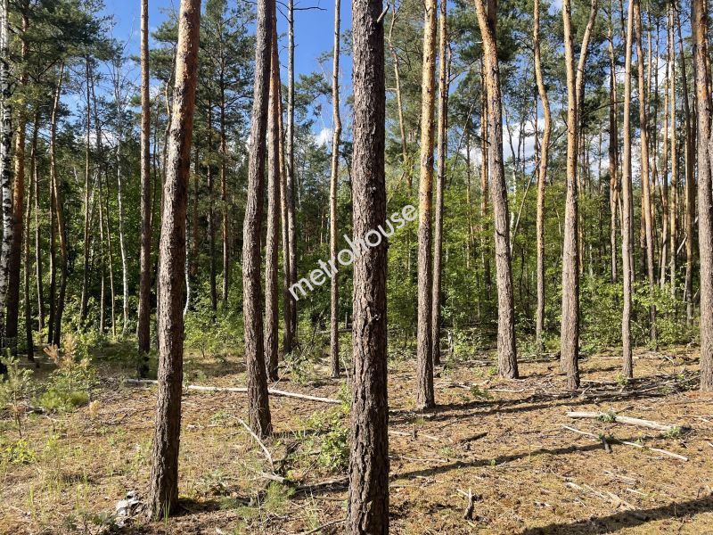 Działka na sprzedaż, Warszawa, Białołęka, Chlubna