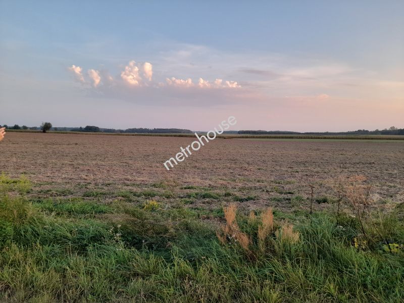 Działka na sprzedaż, Sokołowski, Budy Kupientyńskie