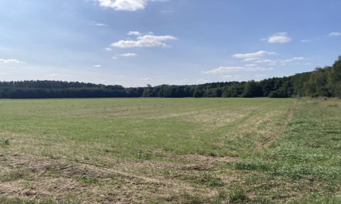 Sprzedaż Działka Ostrowina, pow. oleśnicki