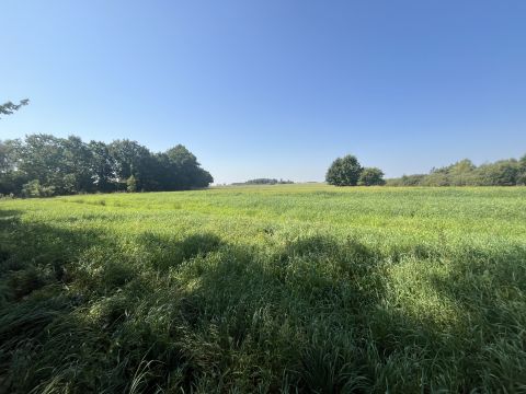 Sprzedaż Działka Włodarka, pow. gryficki