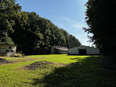 Sprzedaż Ogólne Tereszyn, pow. lubelski
