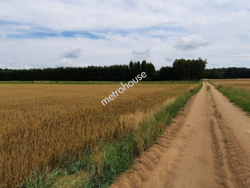 Działka na sprzedaż, Siedlecki, Żeliszew Podkościelny