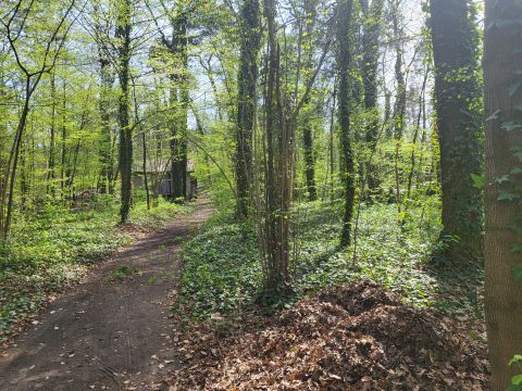 Sprzedaż Działka Podkowa Leśna, pow. grodziski