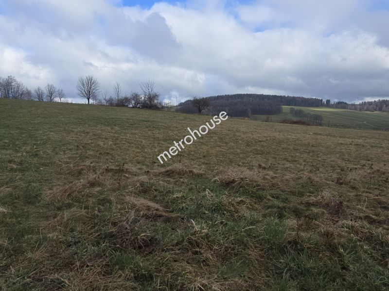 Działka na sprzedaż, Jeleniogórski, Wojcieszyce