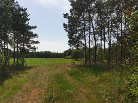 Sprzedaż Działka Blinno, pow. sierpecki