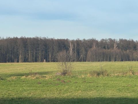 Sprzedaż Dom Nowe Budy, pow. wyszkowski