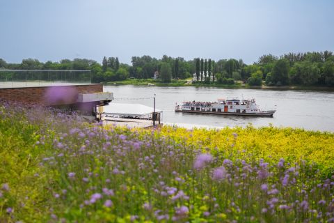 Sprzedaż Mieszkanie Łazienna, Toruń