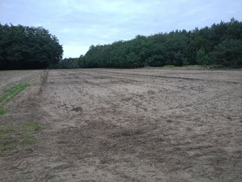 Sprzedaż Działka Tymianka, pow. zgierski