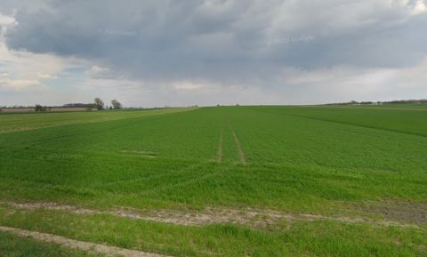 Sprzedaż Działka Miękowo, pow. poznański
