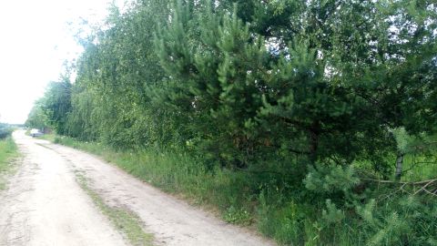 Sprzedaż Działka Żytnia, Radzewo, pow. poznański
