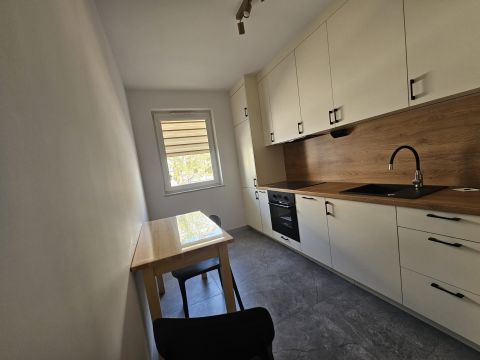 Wynajem Mieszkanie Watzenrodego, Toruń